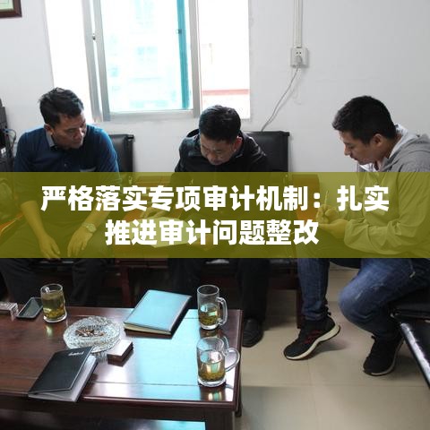 严格落实专项审计机制：扎实推进审计问题整改 