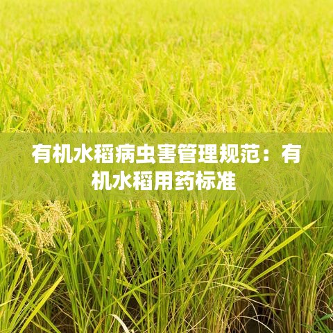 有机水稻病虫害管理规范：有机水稻用药标准 
