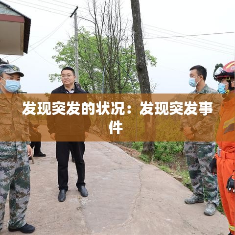 发现突发的状况：发现突发事件 