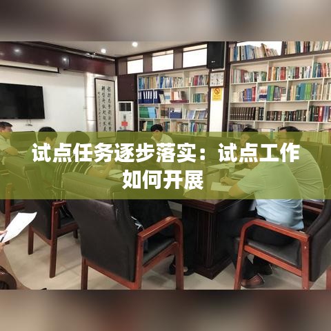 试点任务逐步落实：试点工作如何开展 