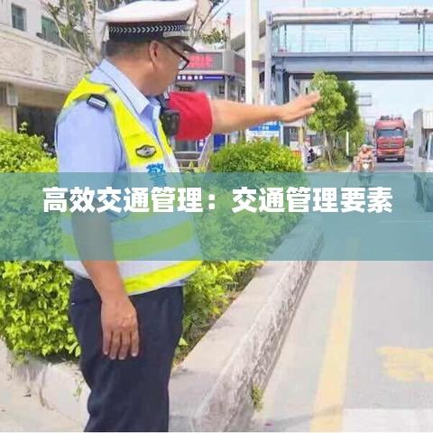 高效交通管理：交通管理要素 