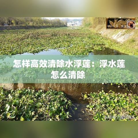 怨天怨地 第2页