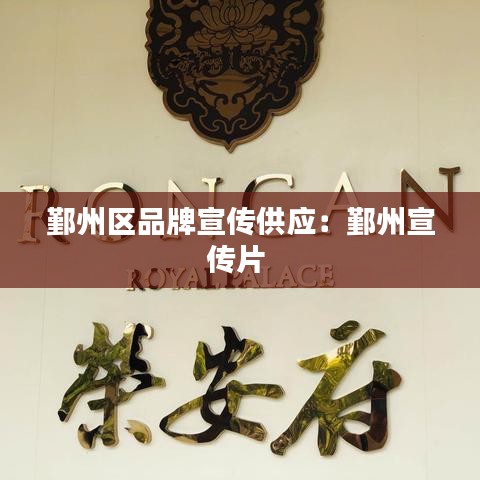 鄞州区品牌宣传供应：鄞州宣传片 
