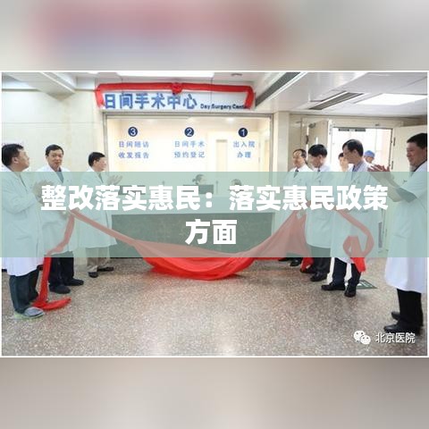整改落实惠民：落实惠民政策方面 