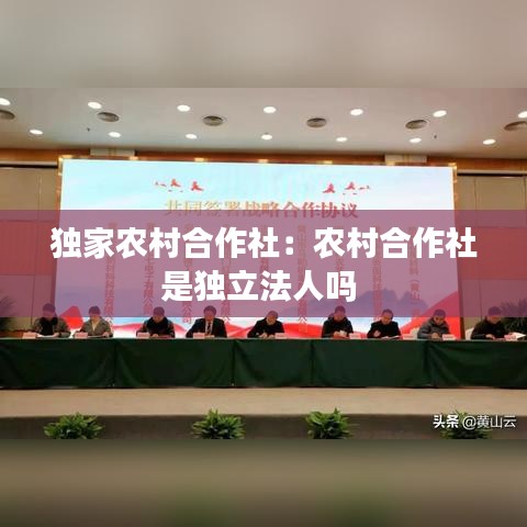 独家农村合作社：农村合作社是独立法人吗 