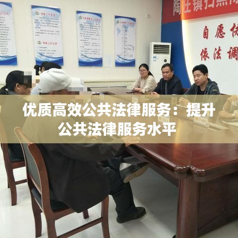 优质高效公共法律服务：提升公共法律服务水平 