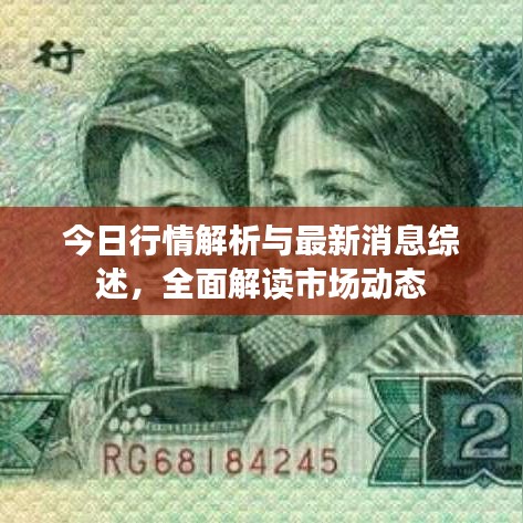 今日行情解析与最新消息综述，全面解读市场动态