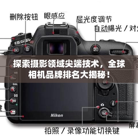 探索摄影领域尖端技术，全球相机品牌排名大揭秘！