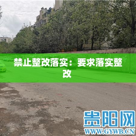 禁止整改落实：要求落实整改 