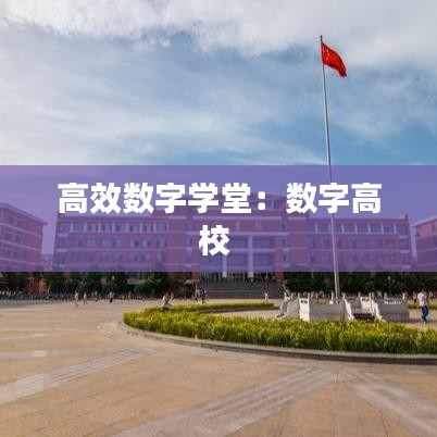 高效数字学堂：数字高校 