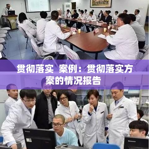 贯彻落实  案例：贯彻落实方案的情况报告 