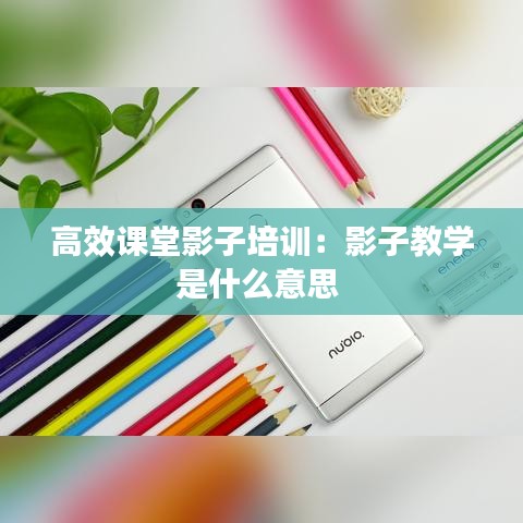 高效课堂影子培训：影子教学是什么意思 