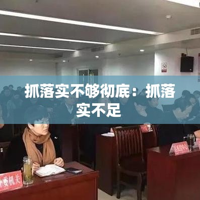 抓落实不够彻底：抓落实不足 