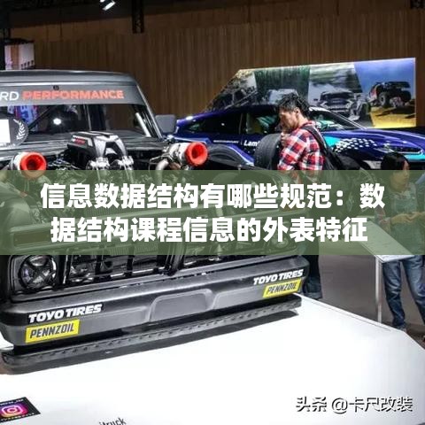 飞燕化龙 第2页