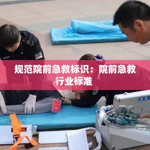 规范院前急救标识：院前急救行业标准 