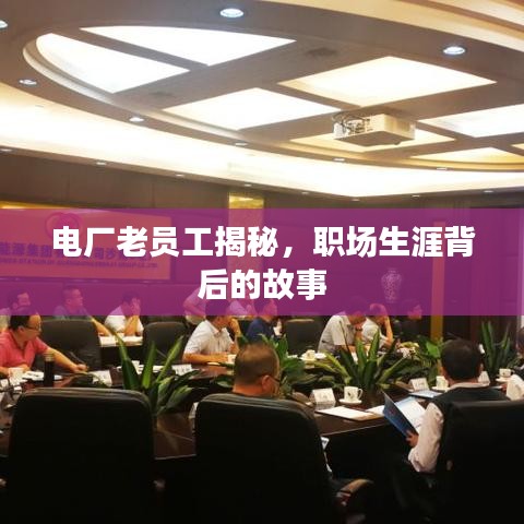 电厂老员工揭秘，职场生涯背后的故事