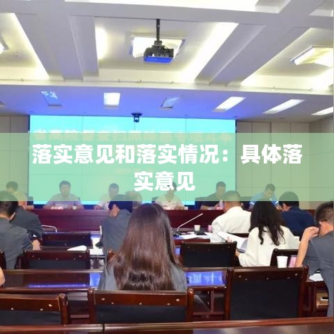 落实意见和落实情况：具体落实意见 