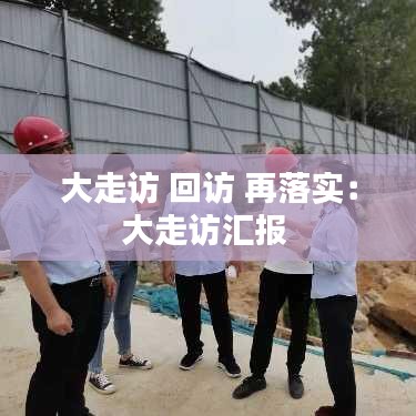 大走访 回访 再落实：大走访汇报 