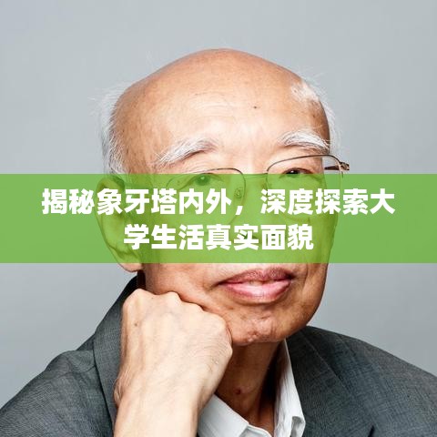 揭秘象牙塔内外，深度探索大学生活真实面貌