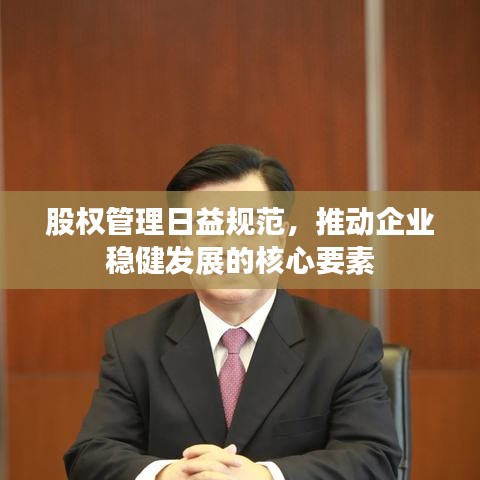 股权管理日益规范，推动企业稳健发展的核心要素