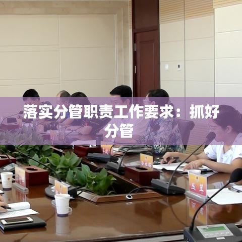 落实分管职责工作要求：抓好分管 