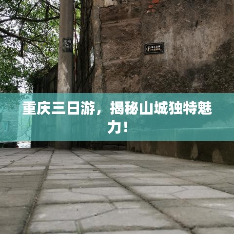 贵极人臣 第2页