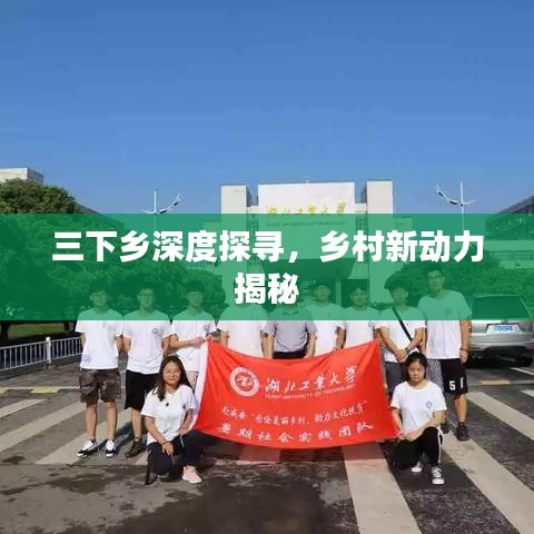 三下乡深度探寻，乡村新动力揭秘