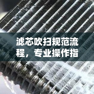 滤芯吹扫规范流程，专业操作指南