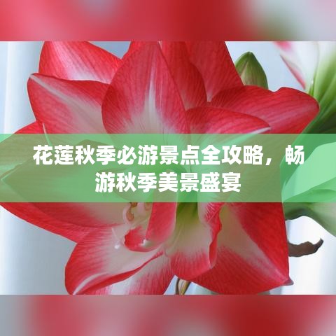 花莲秋季必游景点全攻略，畅游秋季美景盛宴