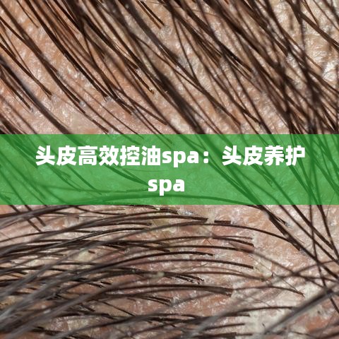 头皮高效控油spa：头皮养护spa 