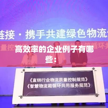 高效率的企业例子有哪些： 