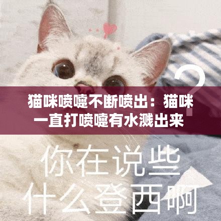 猫咪喷嚏不断喷出：猫咪一直打喷嚏有水溅出来 