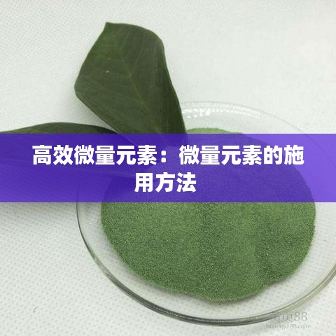 高效微量元素：微量元素的施用方法 