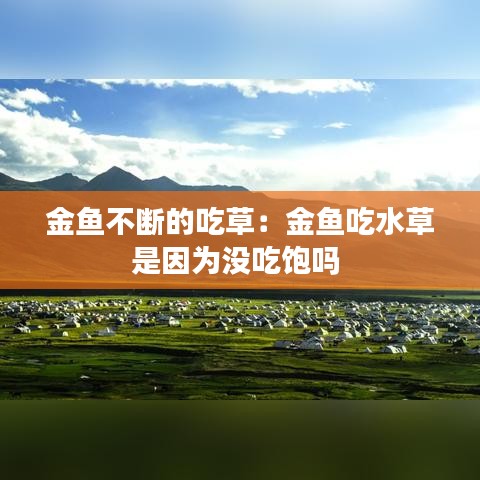 金鱼不断的吃草：金鱼吃水草是因为没吃饱吗 