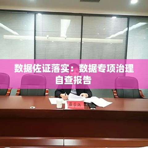 数据佐证落实：数据专项治理自查报告 