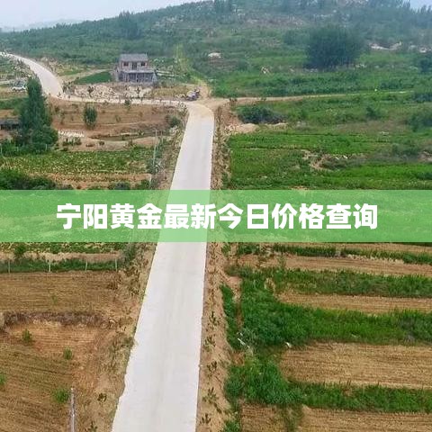 宁阳黄金最新今日价格查询