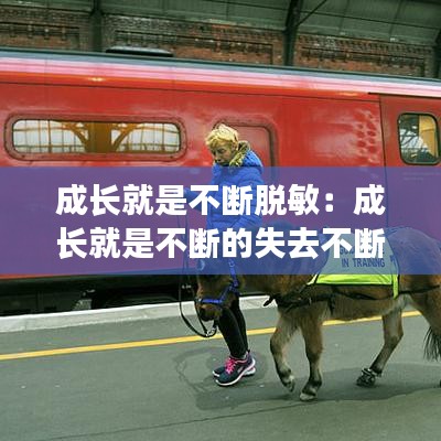成长就是不断脱敏：成长就是不断的失去不断遇见 