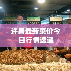 许昌最新菜价今日行情速递