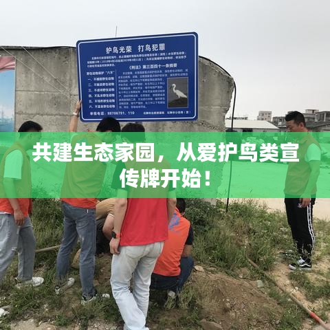 共建生态家园，从爱护鸟类宣传牌开始！