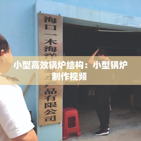 小型高效锅炉结构：小型锅炉制作视频 