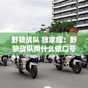 野狼战队 独家瘦：野狼战队用什么做口号 