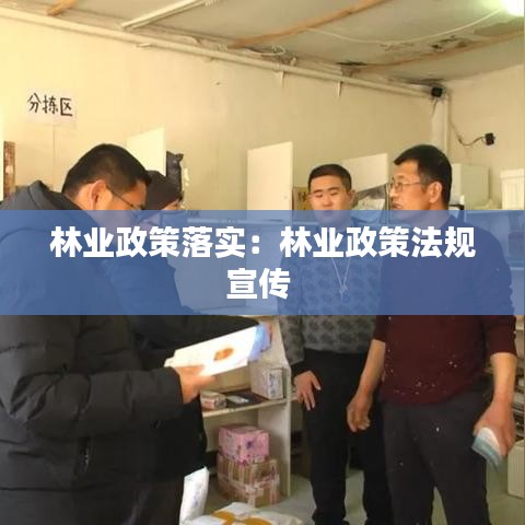 林业政策落实：林业政策法规宣传 