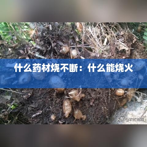 什么药材烧不断：什么能烧火 