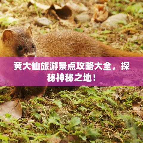 黄大仙旅游景点攻略大全，探秘神秘之地！