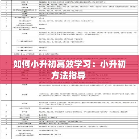 如何小升初高效学习：小升初方法指导 