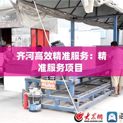 齐河高效精准服务：精准服务项目 