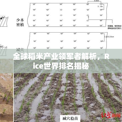 学贯中西 第2页