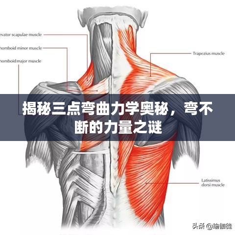 揭秘三点弯曲力学奥秘，弯不断的力量之谜