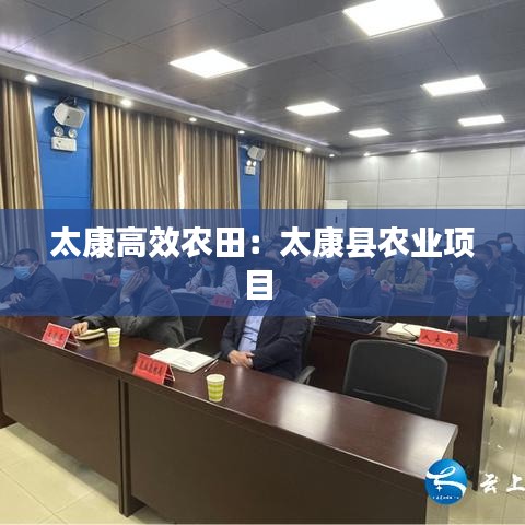 太康高效农田：太康县农业项目 