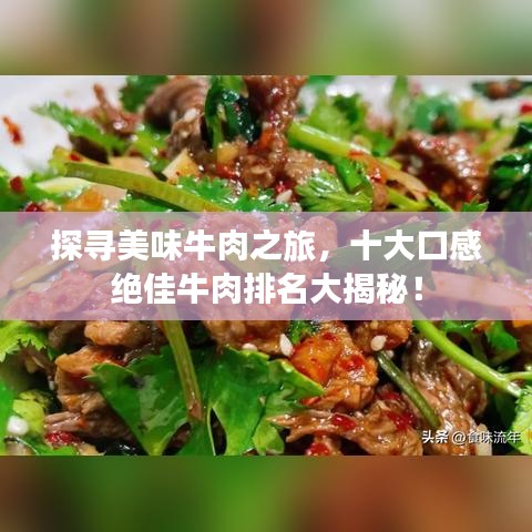 探寻美味牛肉之旅，十大口感绝佳牛肉排名大揭秘！